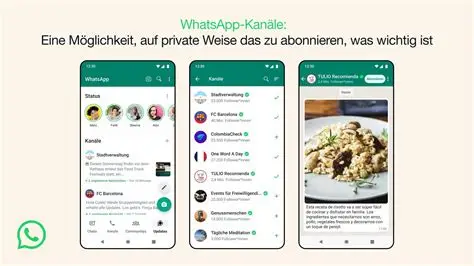 电脑装WhatsApp总失败?这份避坑指南请收好